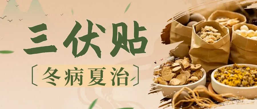 【冬病夏治】驅(qū)病邪，守安康--2025我院內(nèi)分泌科“三伏貼”預(yù)約開始啦！